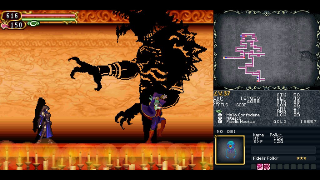 Castlevania: Order of Ecclesia shadow